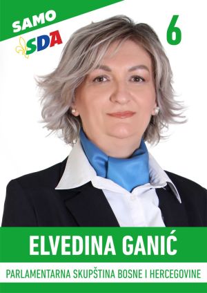 ELVEDINA-GANIC-1.jpg